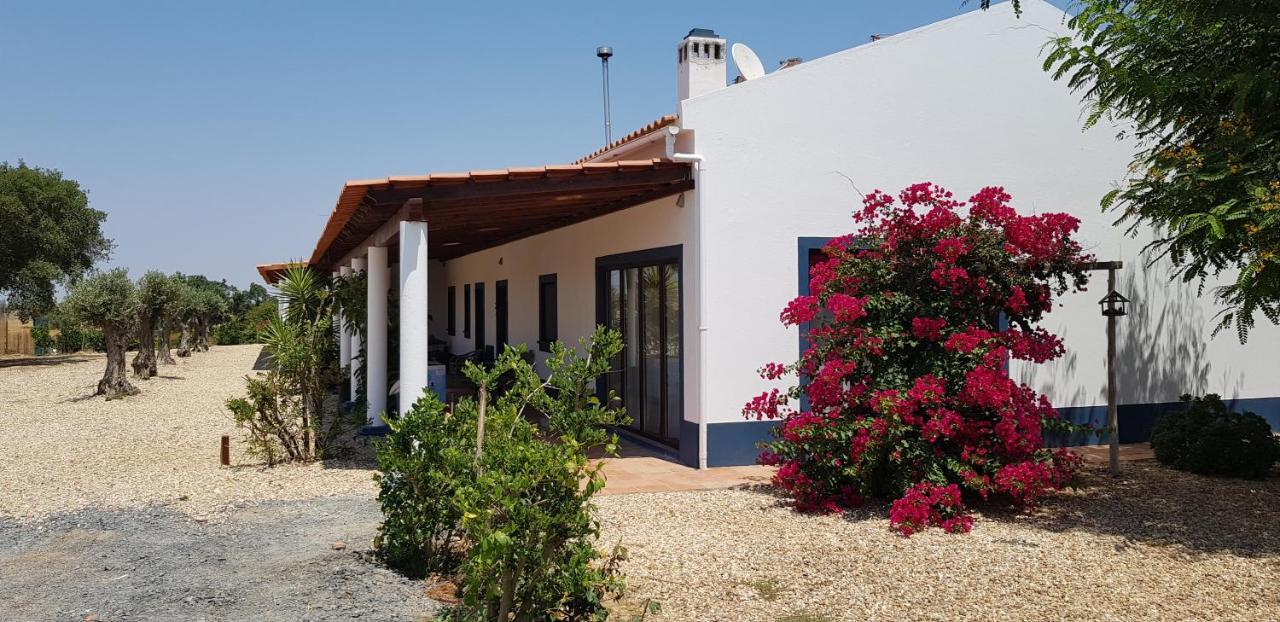 Trendy And Luxe Bed & Breakfast Ferreira Do Alentejo Exterior photo